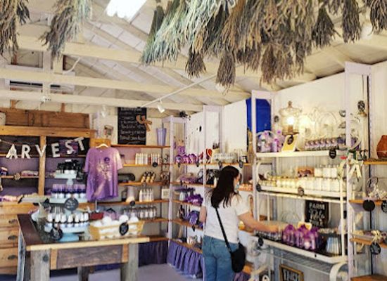 arizona/sierra-ancha/shop/pine-creek-lavender-farm-store-and-cooking-school