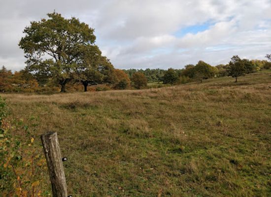 denmark/mols-bjerge-national-park/shop/p-plads-tinghulen