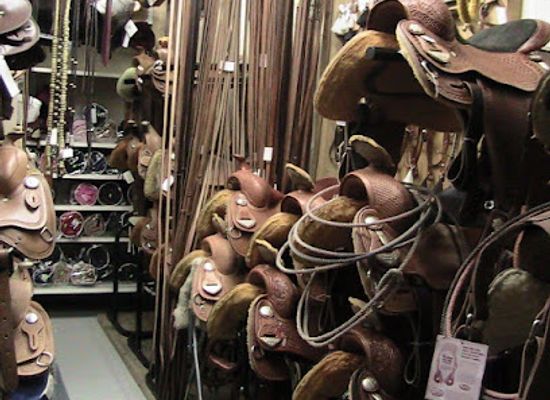 switzerland/northwestern-switzerland/shop/horsestore