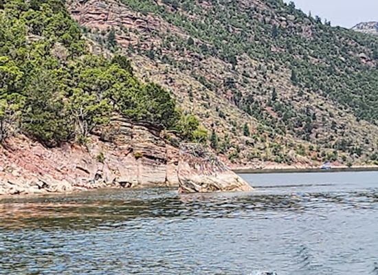 utah/flaming-gorge-national-recreation-area/shop/lucerne-valley-marina