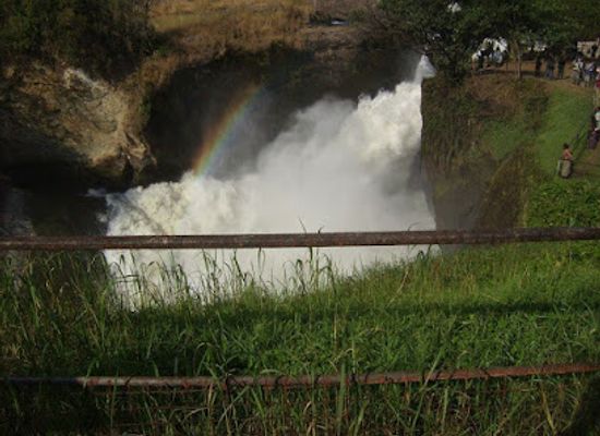 uganda/mount-elgon-national-park/shop/wabusimba-family