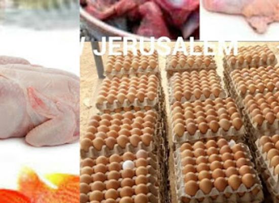 ghana/krachi/shop/new-jerusalem-frozen-foods