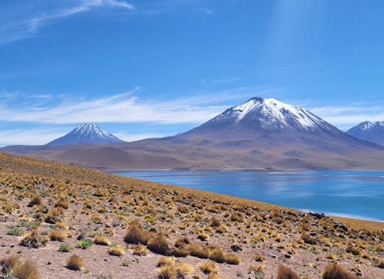 chile/atacama-desert/shop/lagunas-miscanti-y-miniques