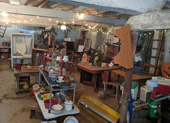 iowa/northeast-iowa/shop/salvage-sisters