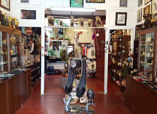 malaysia/george-town/armenian-street/shop/owl-shop