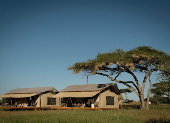 tanzania/serengeti-national-park/shop/siringit-serengeti-camp