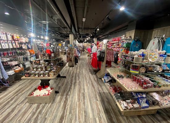 norway/tromso/tromsdalen/shop/the-northern-lights-giftshop-cinema