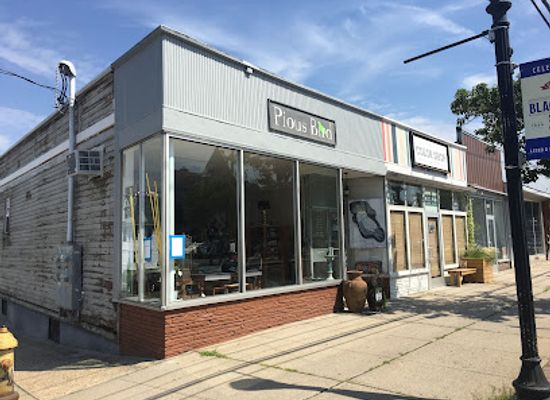 connecticut/bridgeport/shop/pious-bird-of-good-omen