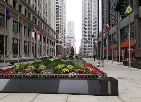 illinois/chicago/river-north/shop/bye-bye-chicago