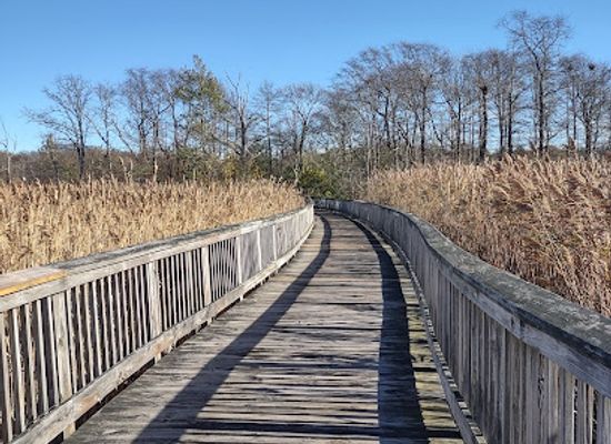 rhode-island/east-bay/shop/claire-d-mcintosh-wildlife-refuge
