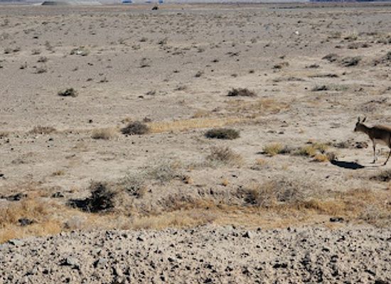 mongolia/gobi-desert/shop/oyu-tolgoi