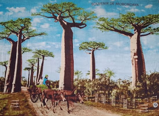 madagascar/menabe/shop/chez-mourtaza