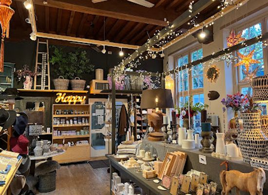 netherlands/haarlem/shop/aap-en-poes