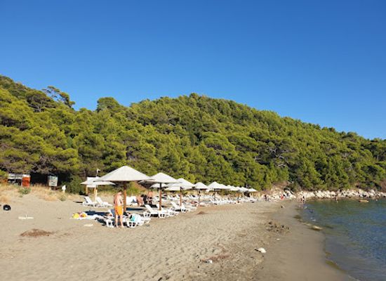 croatia/mljet-island/shop/velika-saplunara