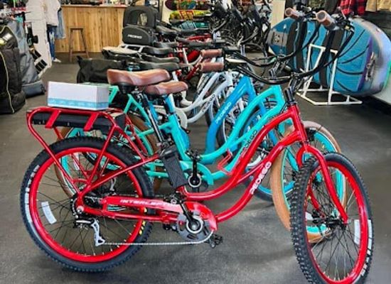 colorado/gunnison-valley/shop/pedego-electric-bikes-gunnison