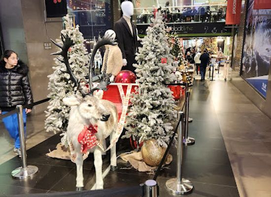 greece/thessaloniki/shop/baron-hirsch-hall