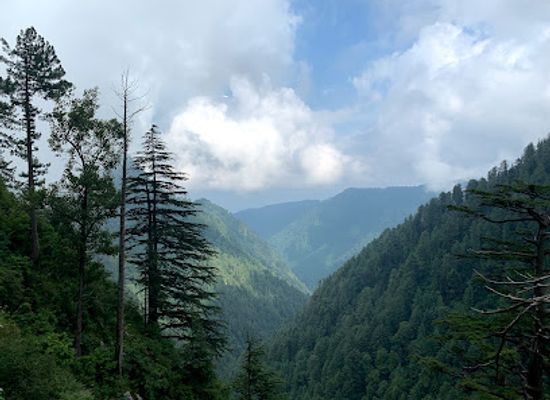 pakistan/azad-jammu-and-kashmir/shop/ayubia-national-park-dunga-gali