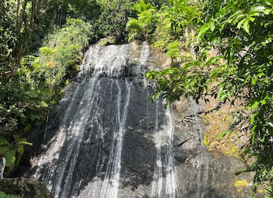 puerto-rico/caribbean-national-forest/shop/la-coca-falls