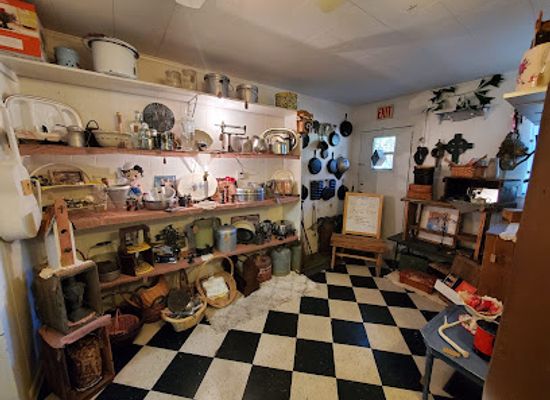 alabama/conecuh-national-forest/shop/longevity