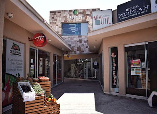 argentina/mendoza/chacras-de-coria/shop/candelas-plaza