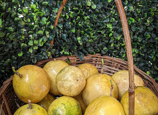 liberia/central-region/shop/mako-s-fruits