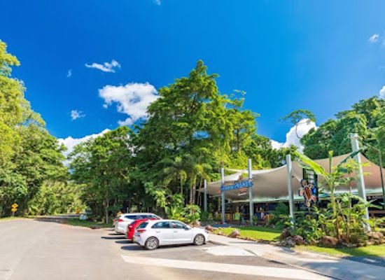 australia/cape-tribulation/shop/ocean-safari