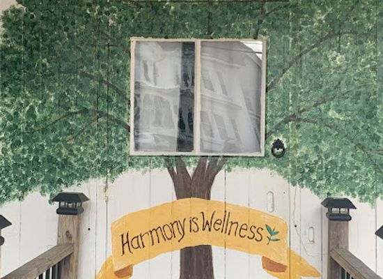 new-hampshire/hillsborough-county/shop/the-earth-magic-shoppe