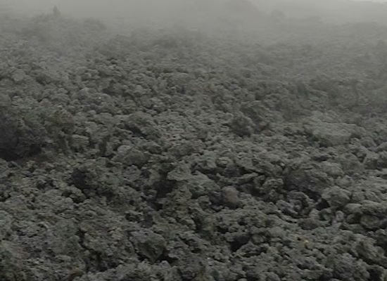 guatemala/pacaya-volcano/shop/lava-store