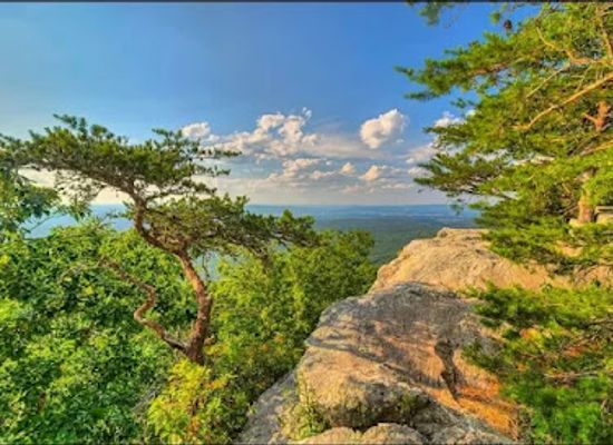 alabama/cheaha-state-park/shop/cheaha-state-park-store