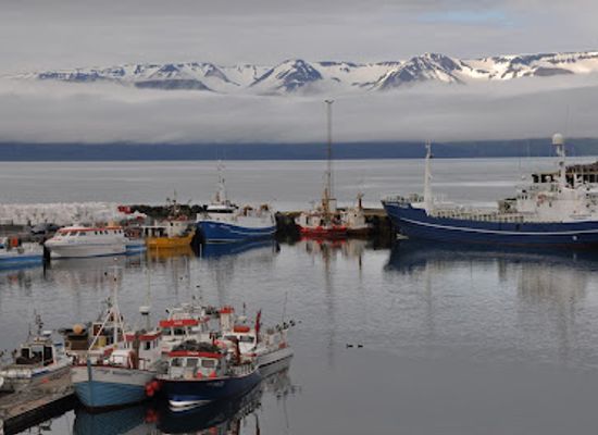 iceland/husavik-area/shop/frumherji-husavik