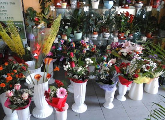 romania/fagaras-mountains/shop/floraria-myflora