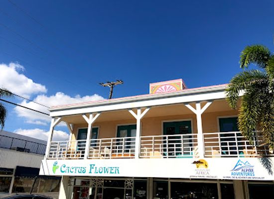 florida/fort-lauderdale/shop/cactus-flower