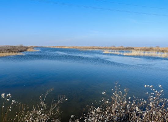 azerbaijan/kura-aras-lowland/shop/agh-gol-national-park