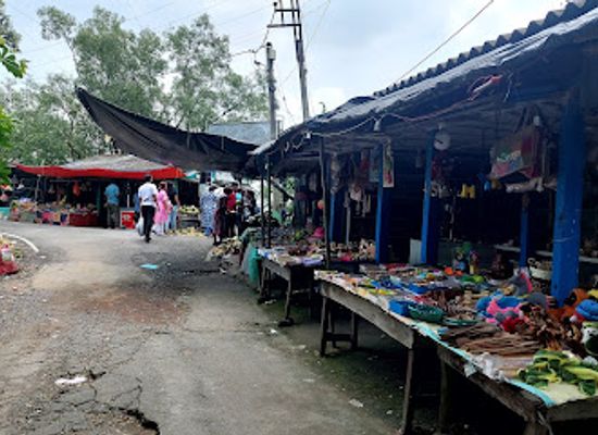 bangladesh/sundarbans/shop/pakhiralay-tiger-more
