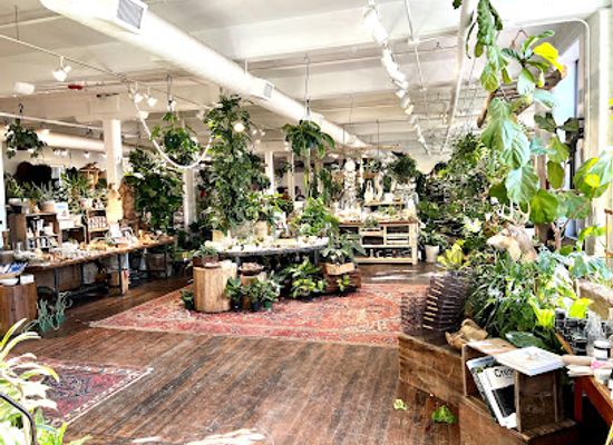 massachusetts/worcester/shop/seed-to-stem