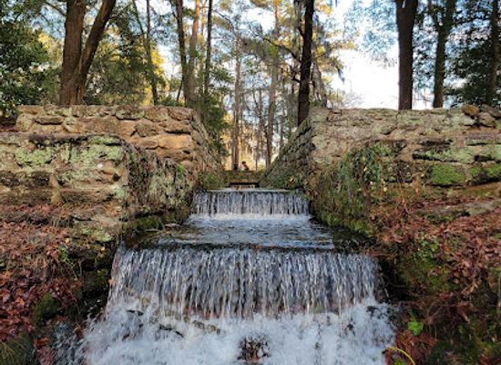 south-carolina/sandhills/shop/poinsett-state-park