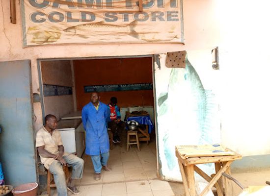 cameroon/bamenda/shop/camfish-cold-store-beside-main-market