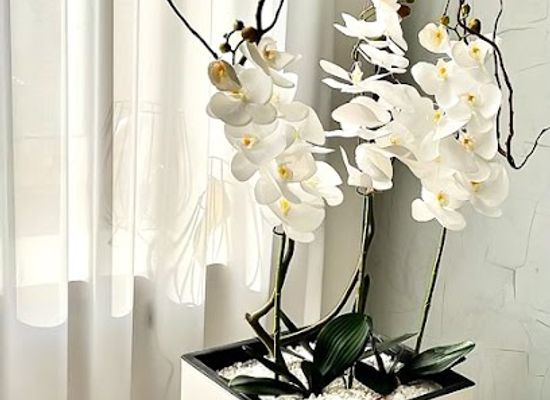 romania/timis/shop/natural-home-boutique