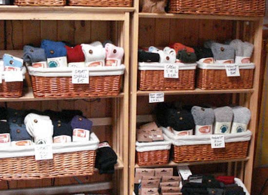 vermont/bennington-county/shop/shaftsbury-alpacas-home-of-the-alpaca-shack