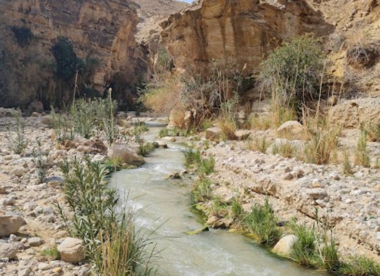 jordan/al-karak-plateau/shop/wadi-bin-hammad