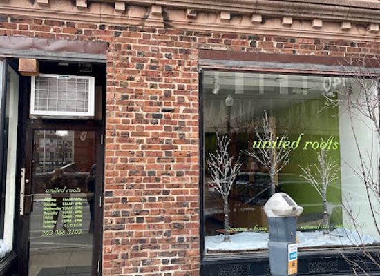 connecticut/bridgeport/shop/united-roots
