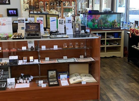 colorado/sangre-de-cristo-mountains/shop/the-golden-curiosity-shop
