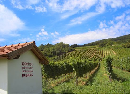 austria/thermenregion/shop/weingut-johannes-gebeshuber