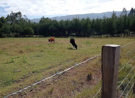 kenya/aberdare-range/shop/kahuruko-shopping-centre