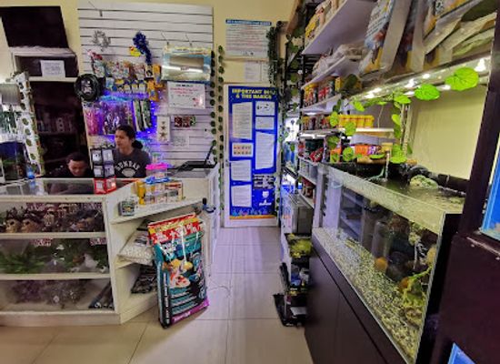 seychelles/port-glaud/shop/gift-depot-aquarium-shop