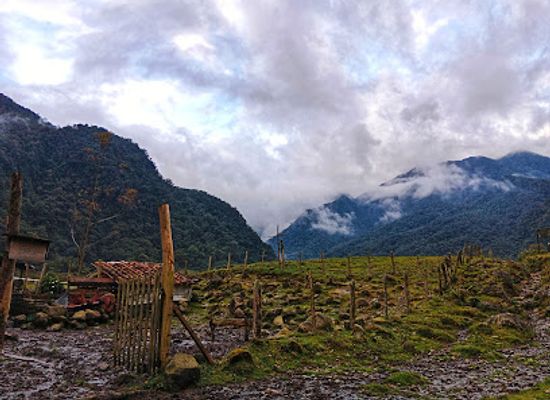 colombia/los-nevados-national-natural-park/shop/finca-ceilan