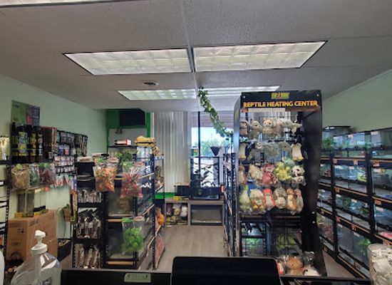 oregon/high-desert/shop/high-desert-geckos-exotic-pets-supplies