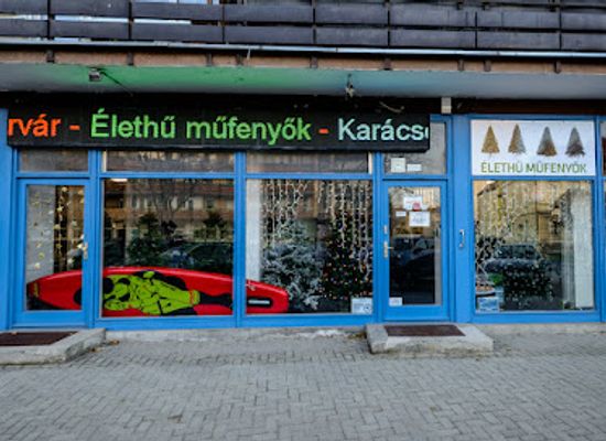 hungary/szekesfehervar/shop/dekortrend-szekesfehervar-mufenyo-es-fenyfuzer-szakuzlet