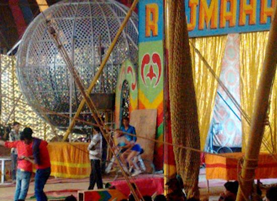 india/gwalior/shop/multiple-brand-store