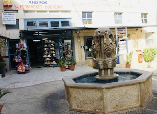 cyprus/pissouri/shop/andros-supermarket